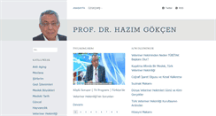 Desktop Screenshot of hazimgokcen.net